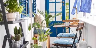 5 plantes pour la terrasse de votre maison