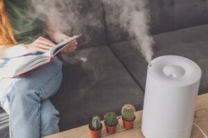 purificateur d'air humidité santé maison