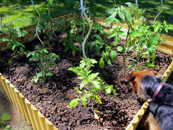 Jardin Marc De Caf Ef Bf Bd Jardin Marc De Caf Ef Bf Bd